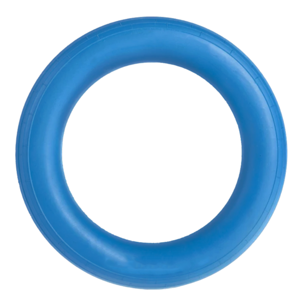 RINGUETTE RING