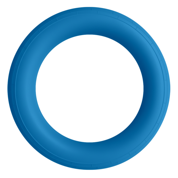 RINGETTE RING