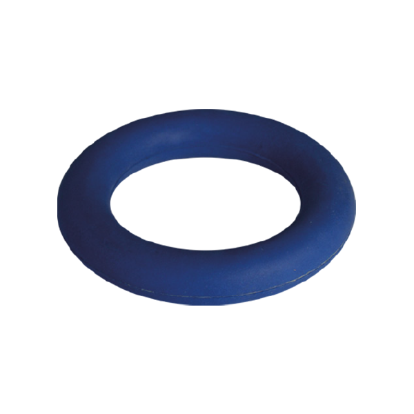 BLUE RINGUETTE PRACTICE RING – Blue-Sports